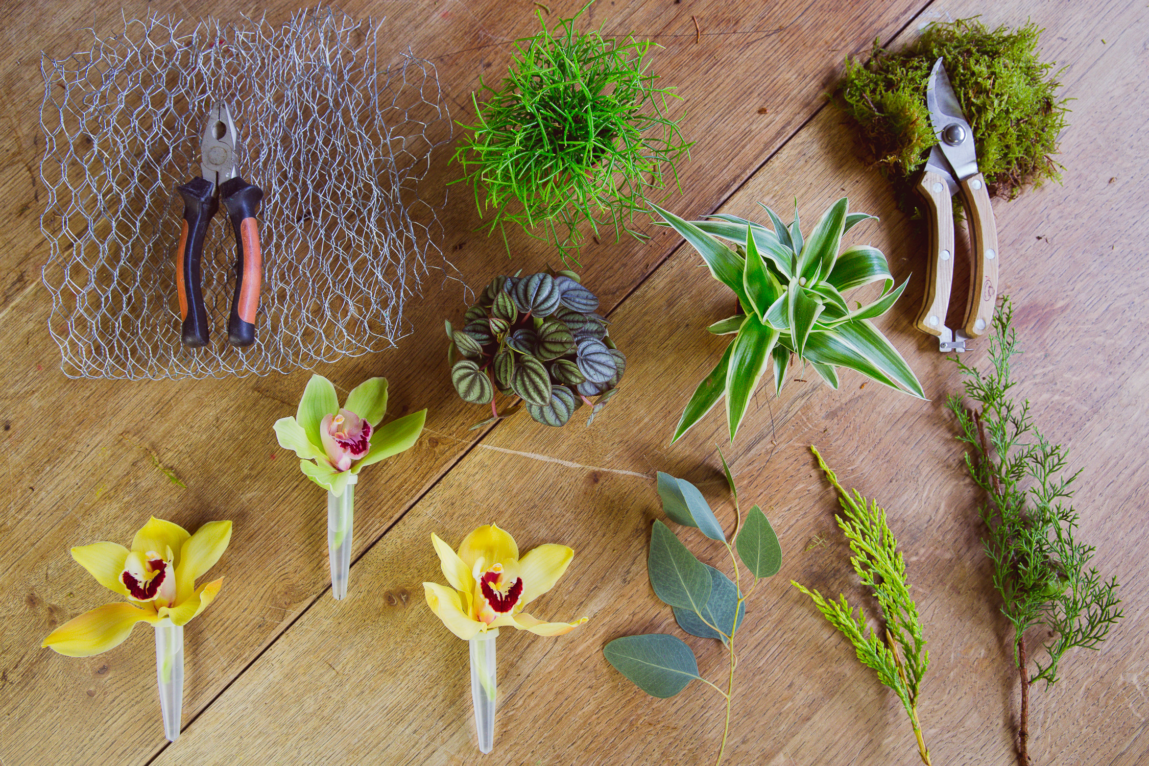 Своими руками: Композиция изо мха и цветов