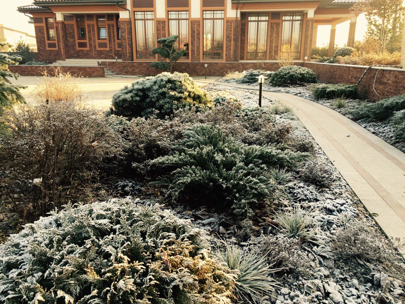 Миллениум2014