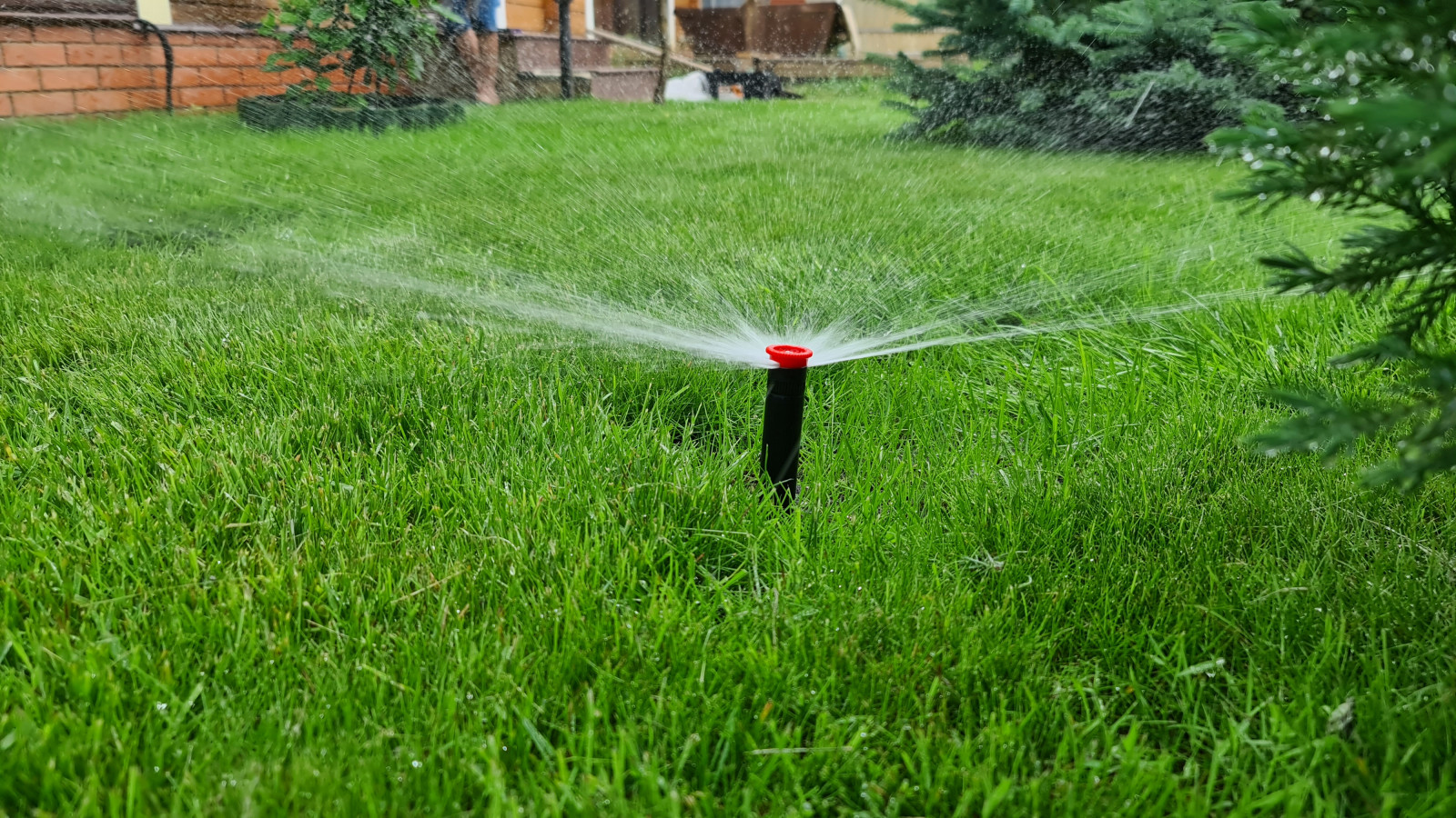 Автоматический полив