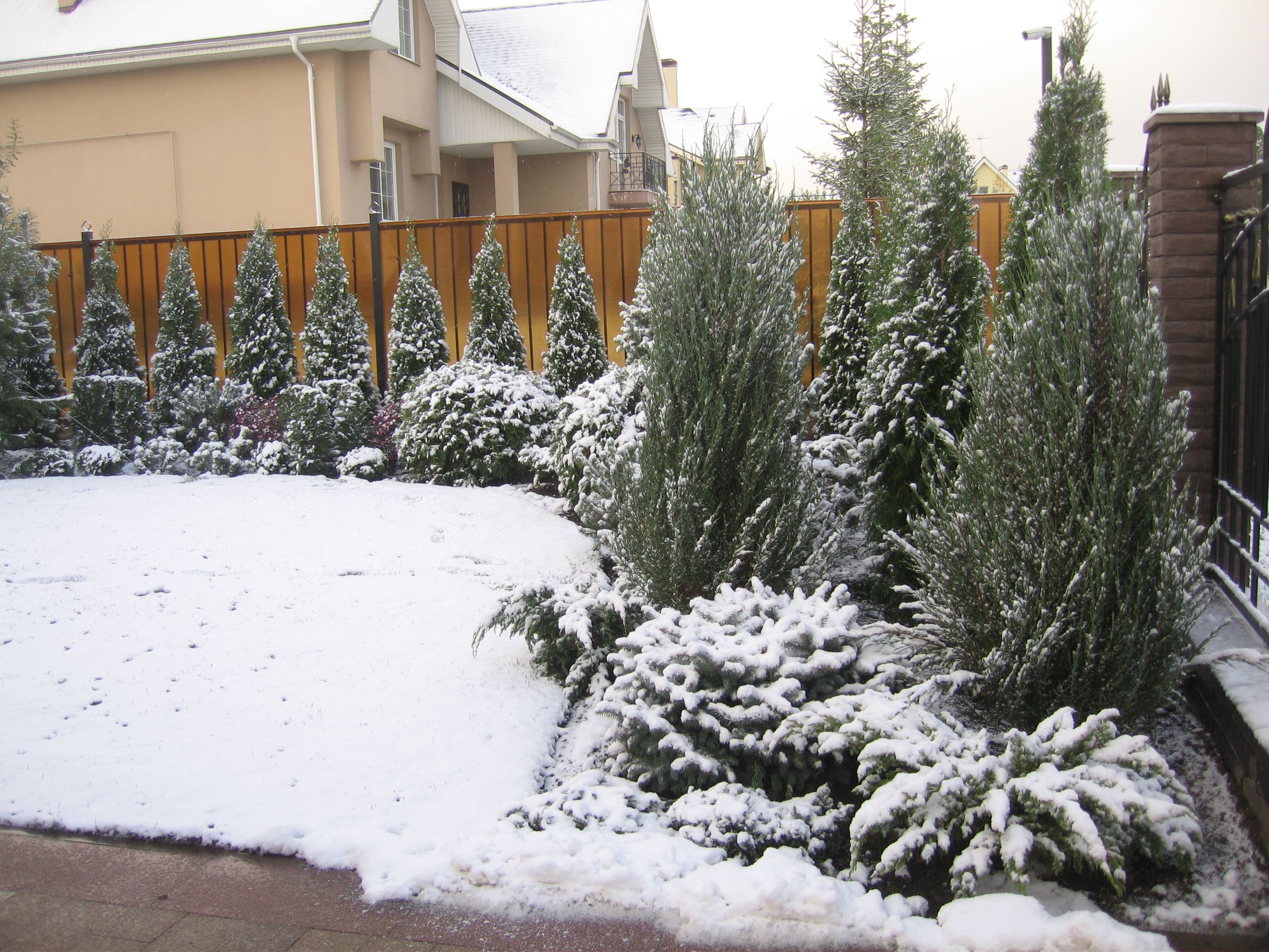 Ледниковый период: Как уберечь растения зимой