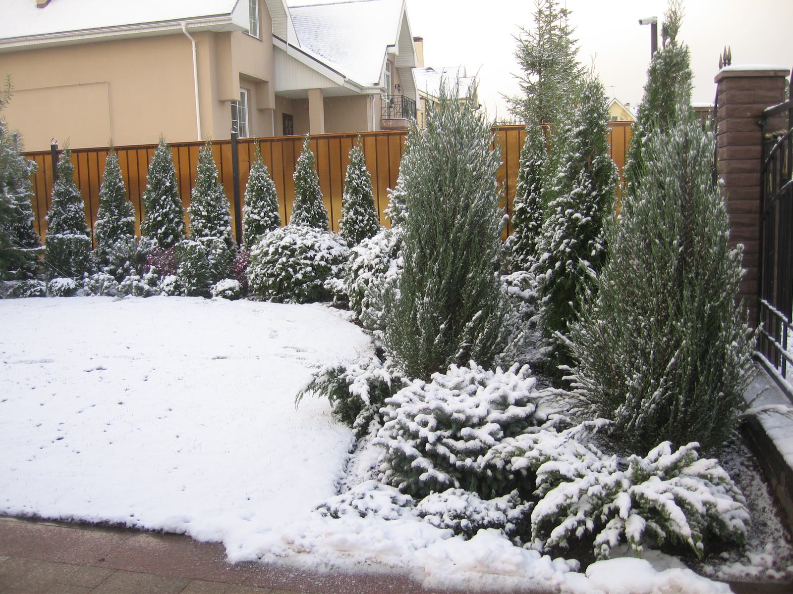 Сад за две недели.