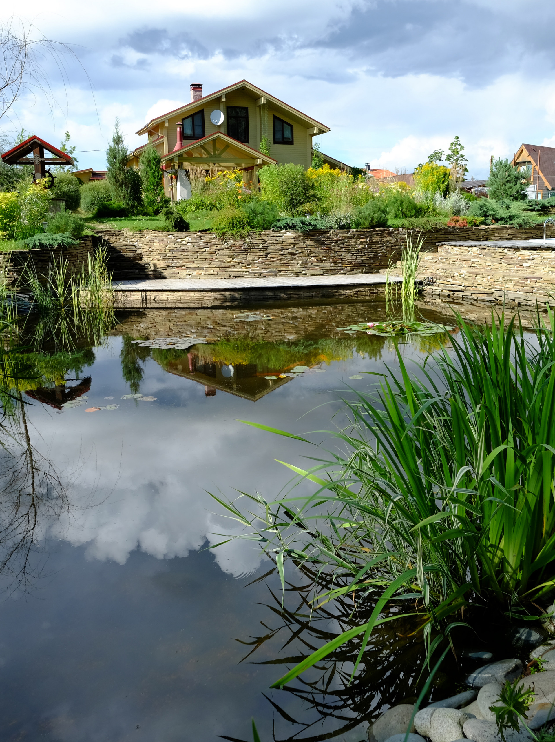 Концы в воду: Декоративные растения для оформления пруда