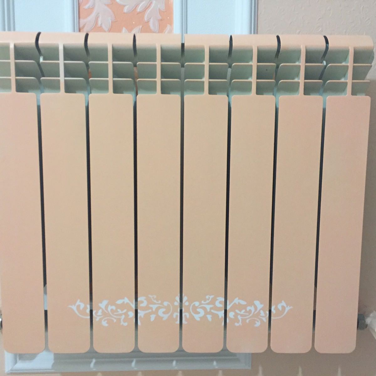 Анастасия Калашникова