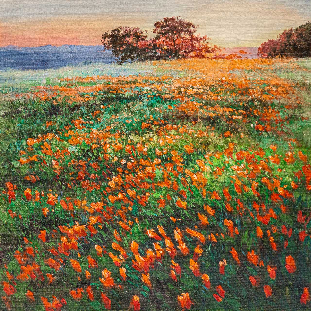 Закат над маковым полем