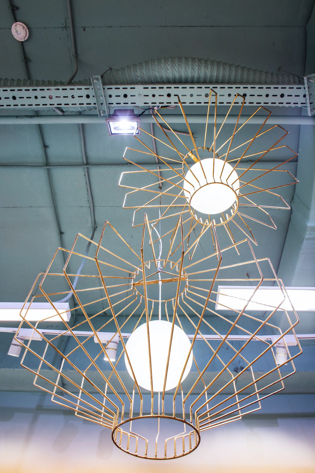 Обложка проекта: Магазин - бутик для животных Animal Club