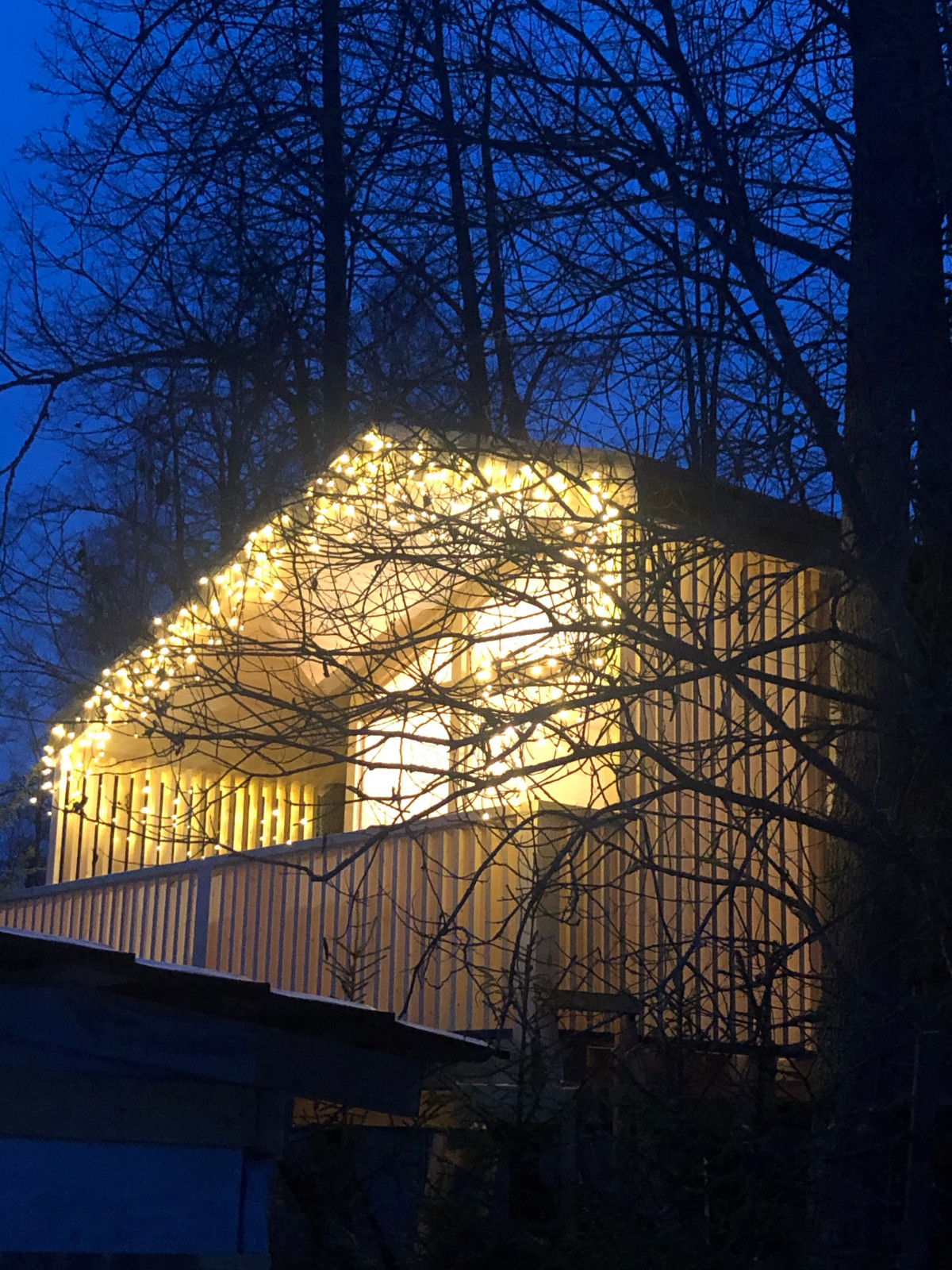 Обложка проекта: Домик на деревьях «BONHOMME»