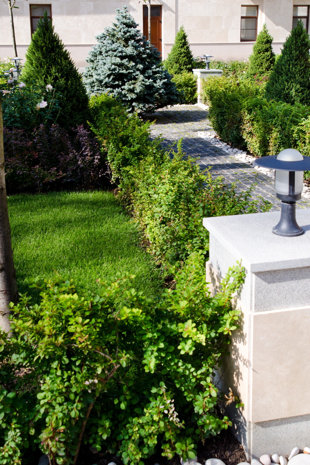 Глянцевый лес