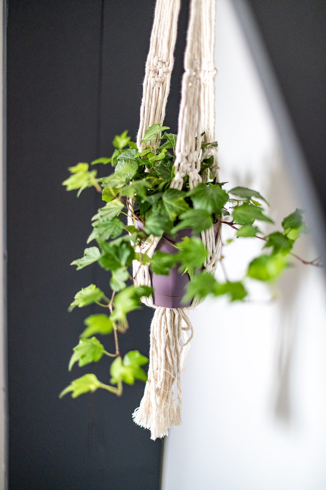 Bedroom for TVshow FazendaLife