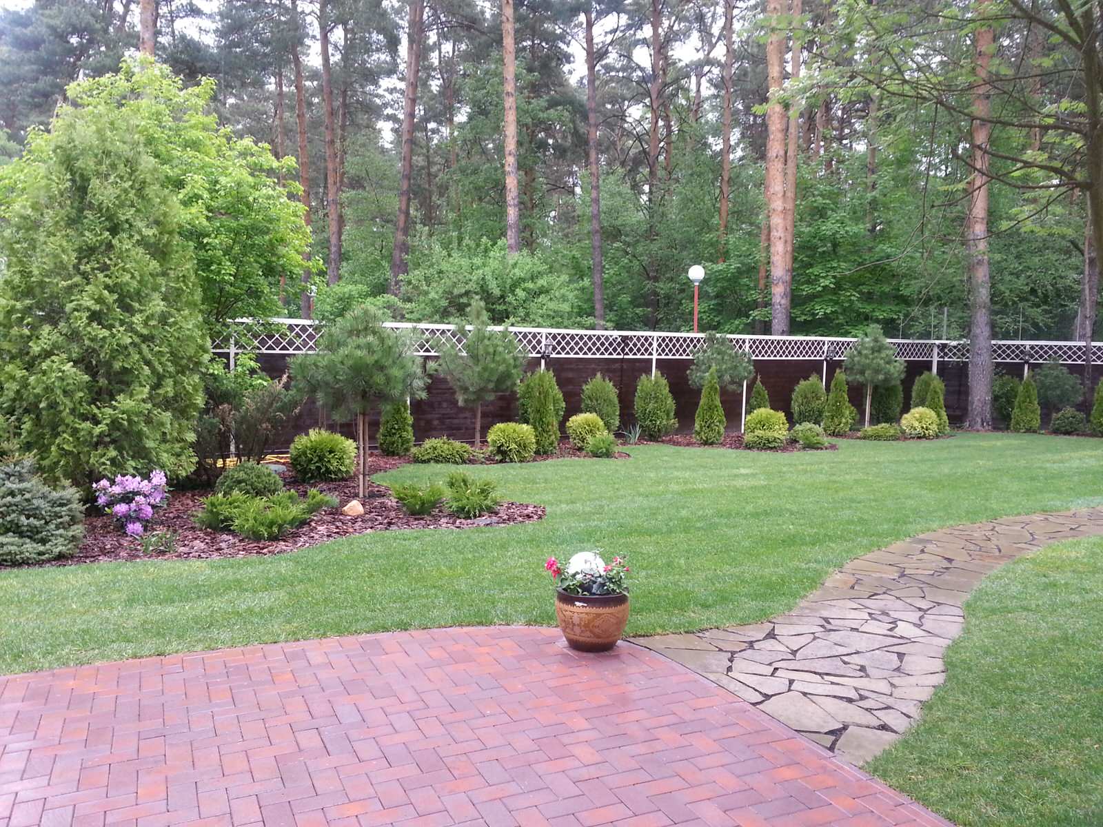 Хвойные композиции, рулонный газон. Клинкерная площадка стыкуется с ландшафтной