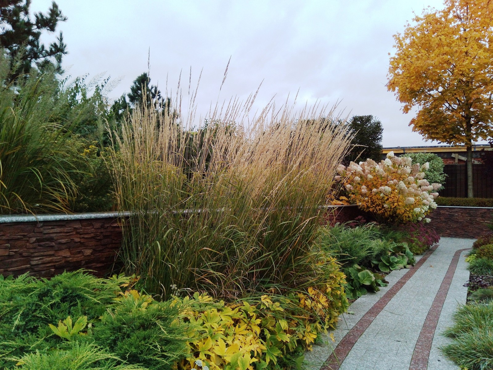 кп "Милениум" - Профессиональный уход за садом - 100% качество!