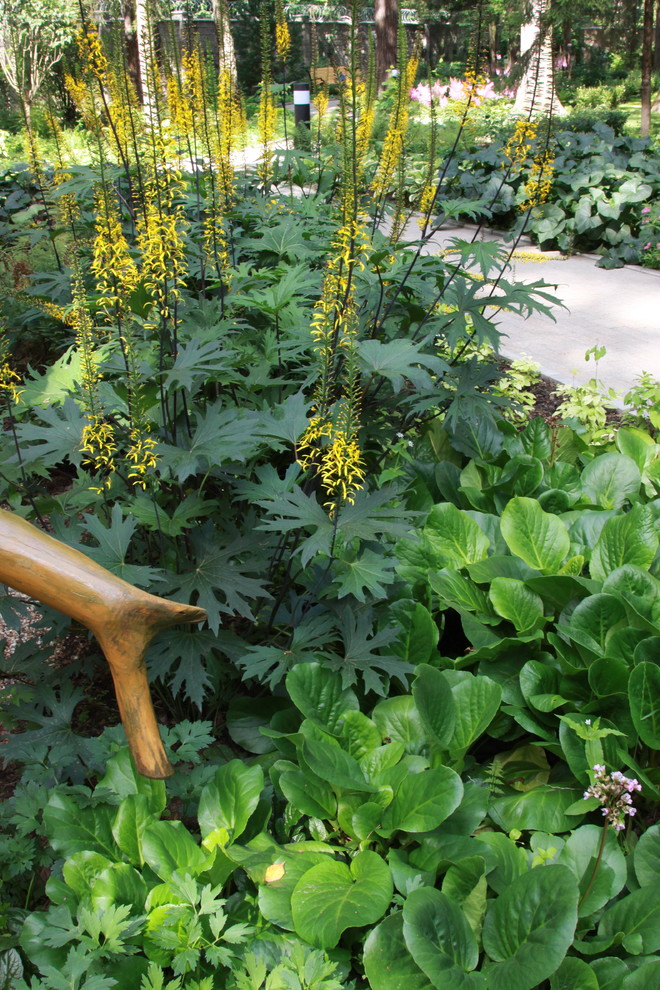 Обложка проекта: Сад в еловом лесу