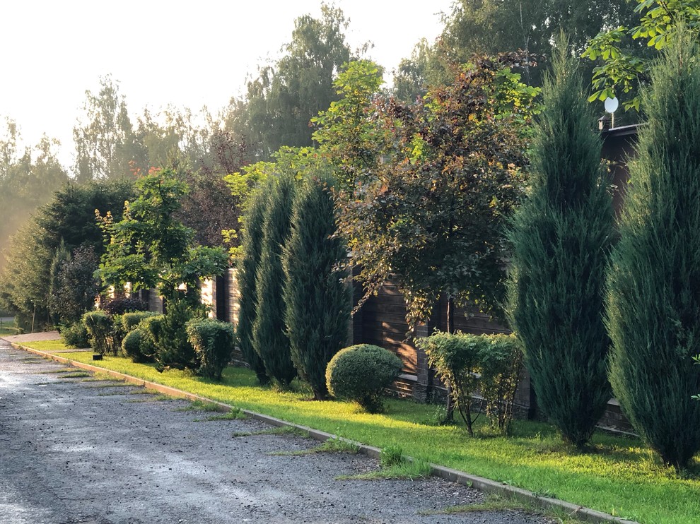 Обложка проекта: Лисавино