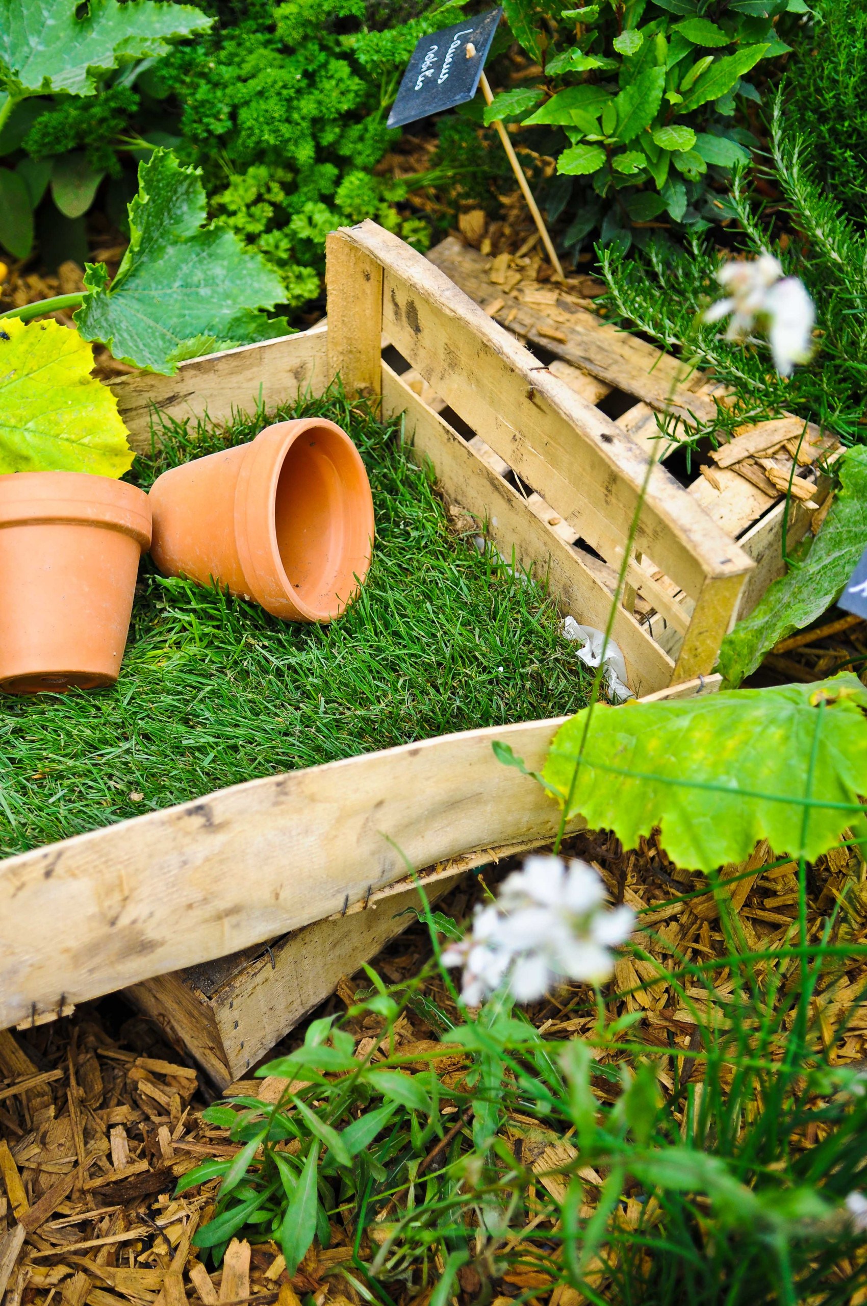 Приоритеты: Как ухаживать за садом, если денег нет