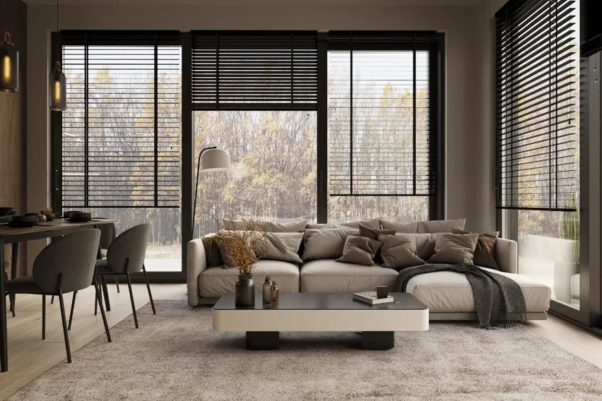 Кухня-гостиная