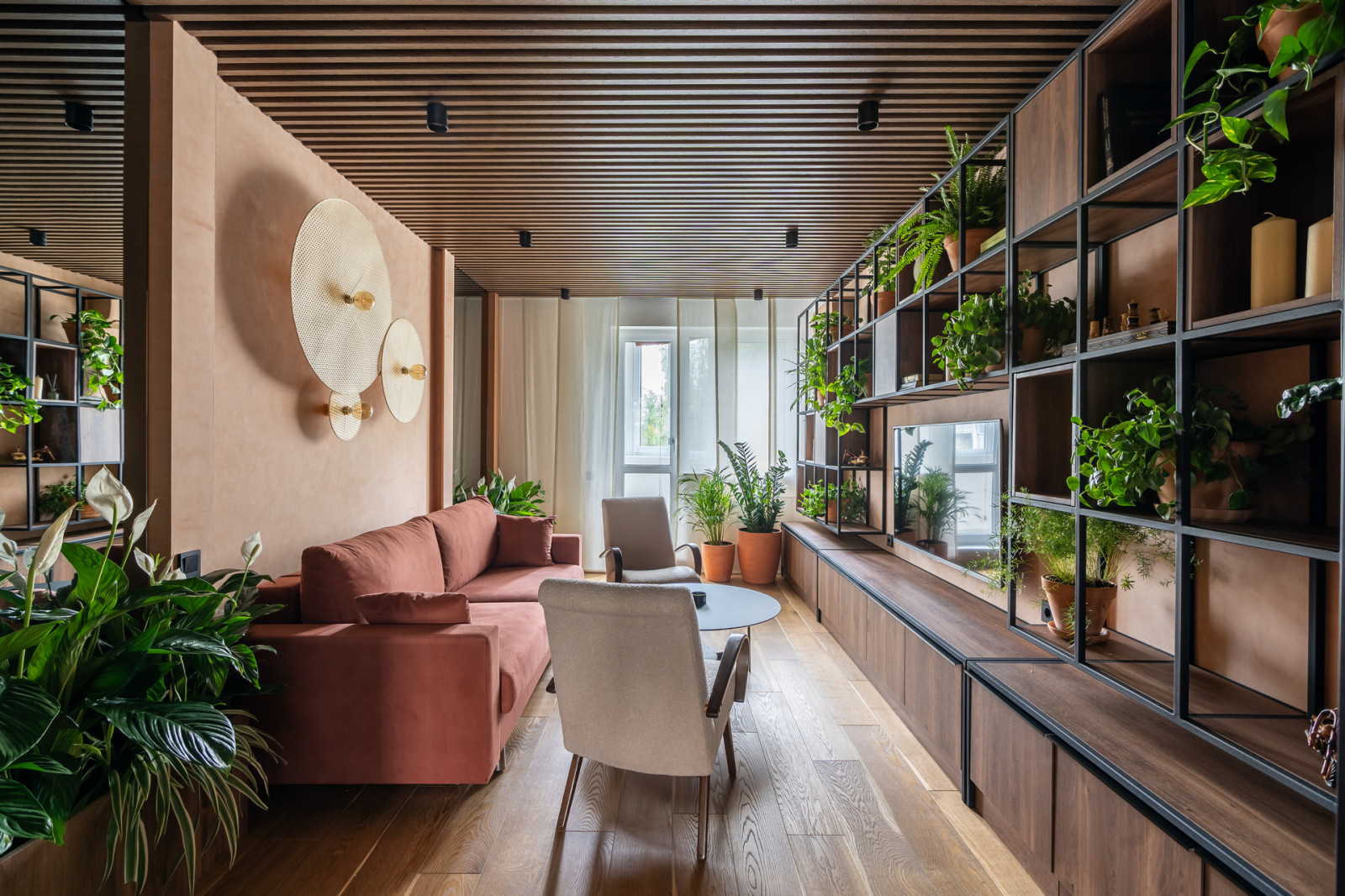 Обложка проекта: Тропическая рокировка