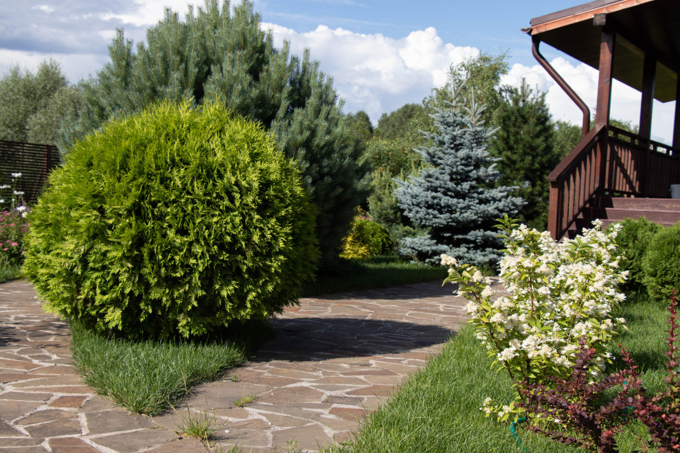 Сосновые берега