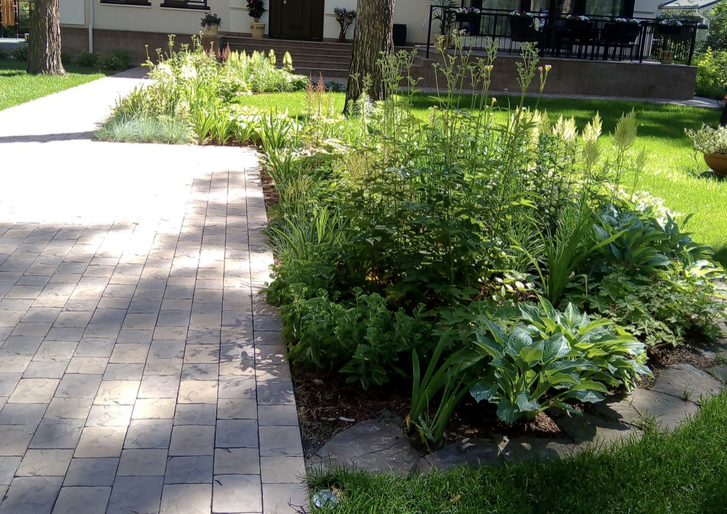 Цветники под пологом леса