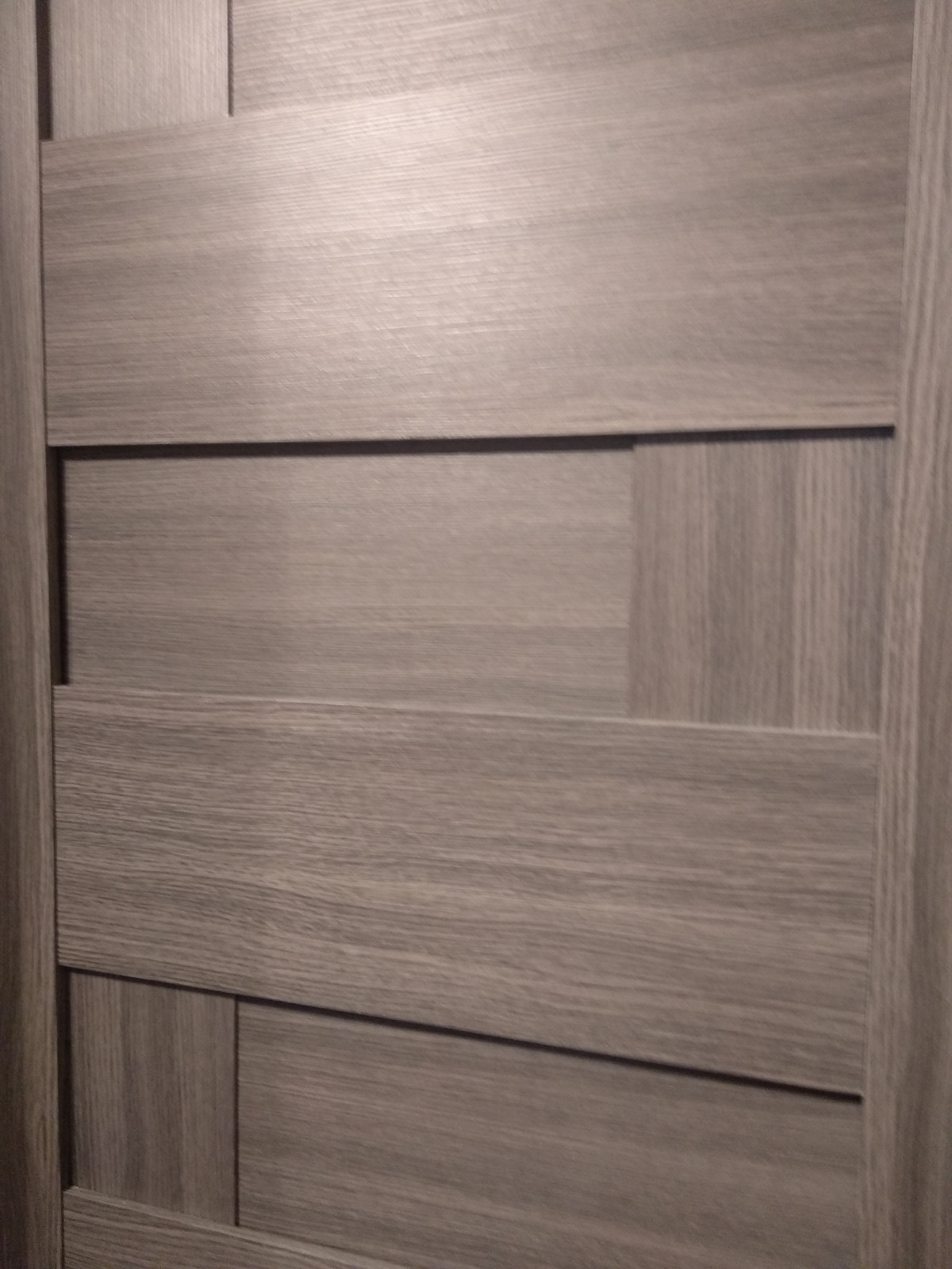 Interior door "DOMINO'', gray, with. glasses, 30"x 80"