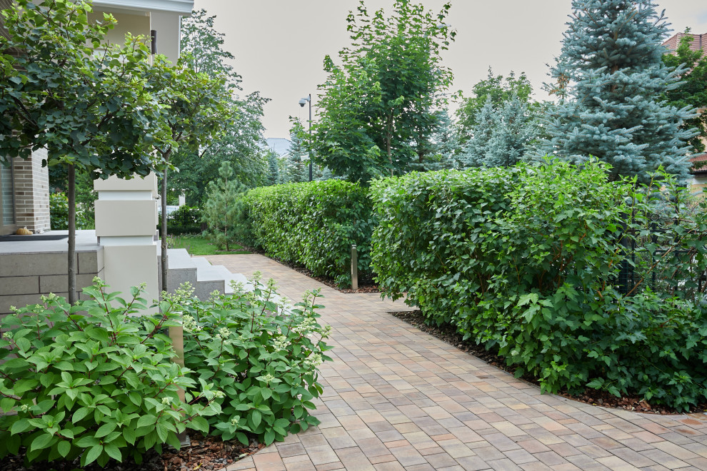 Проект "Современный сад"