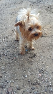 Ирина Ссссс