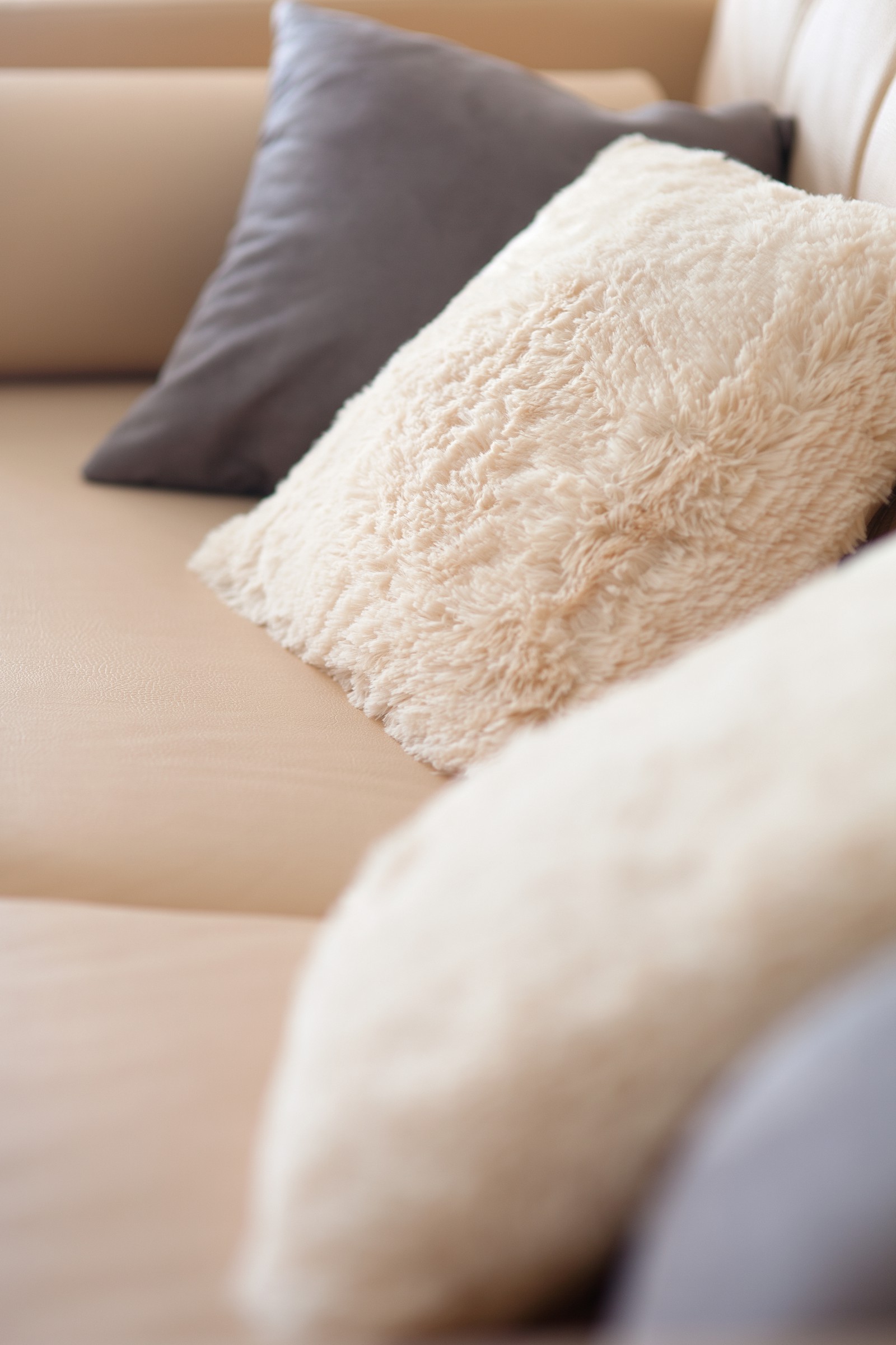 Новый проект 2019