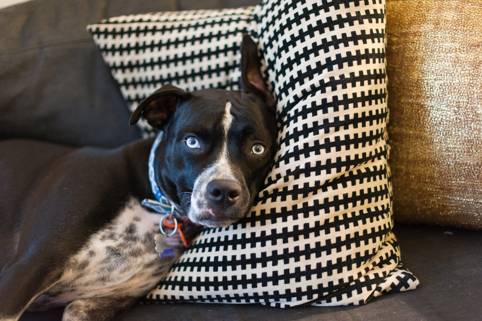 Честный обзор материалов: Как выбрать обивку для мягкой мебели