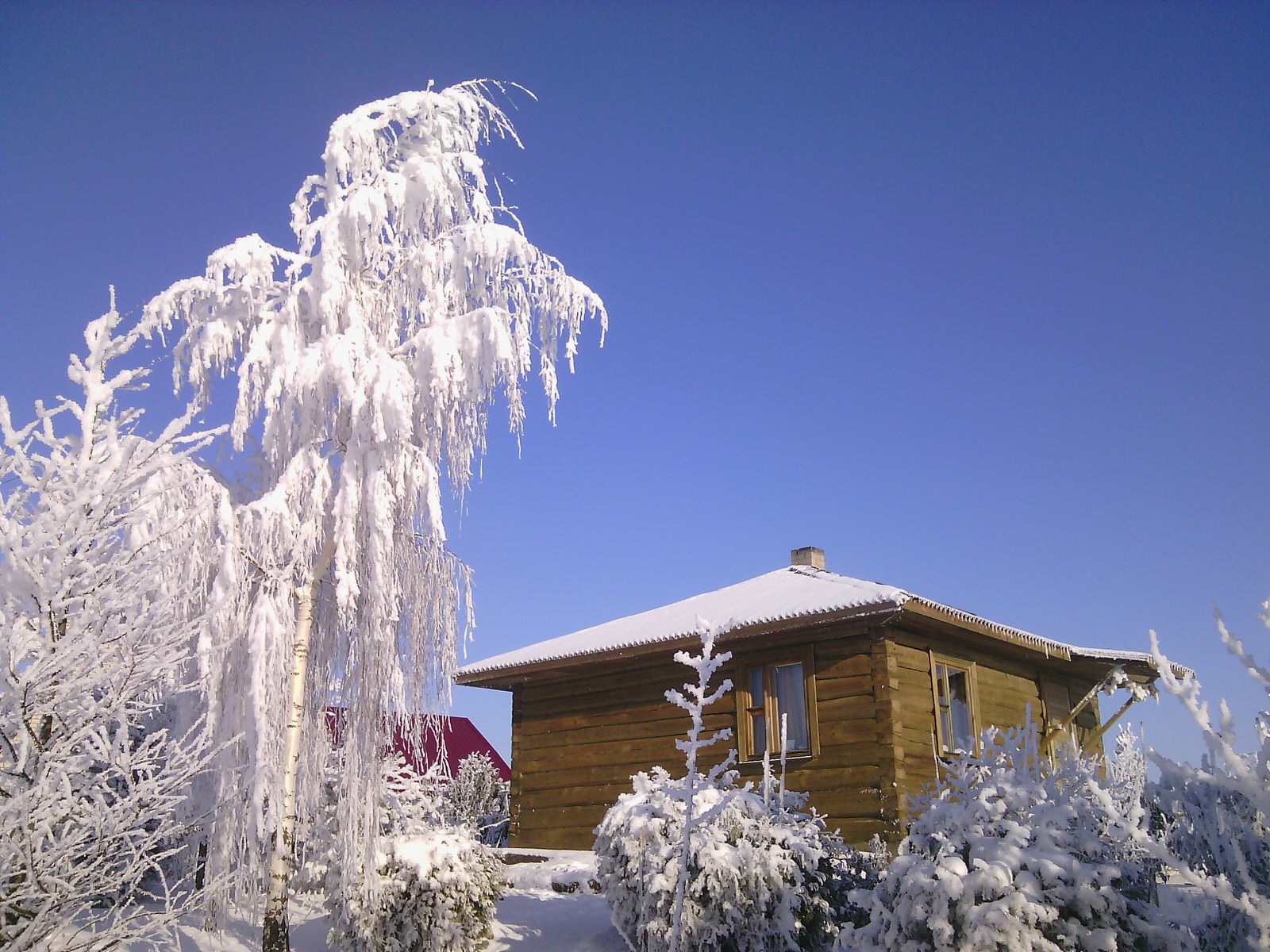 Наш собственный сад