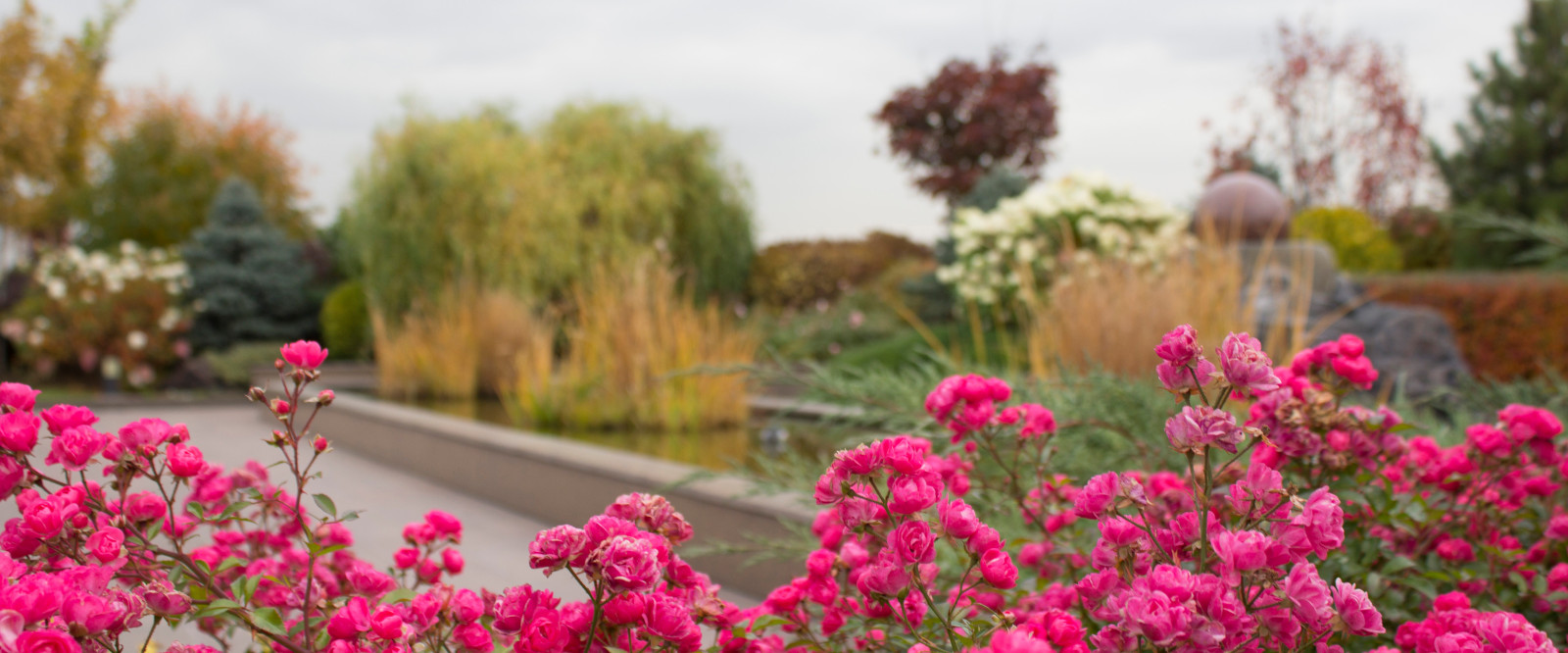Большой сад на крыше