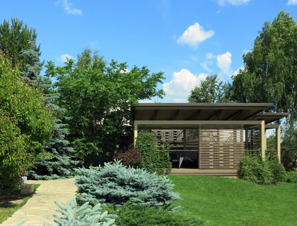 Сад с большими пихтами