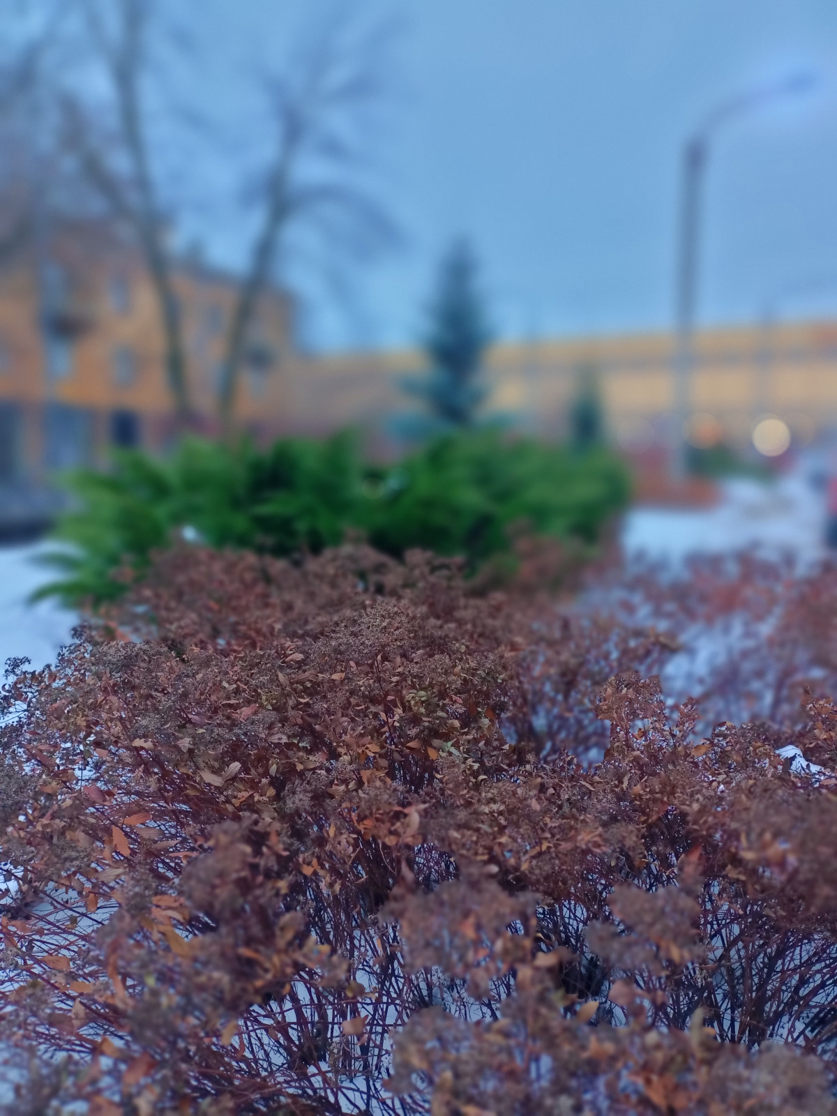 Городское озеленение .Территория производственного комплекса на Баррикадной