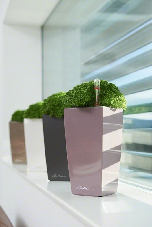 Раскройте свои планы