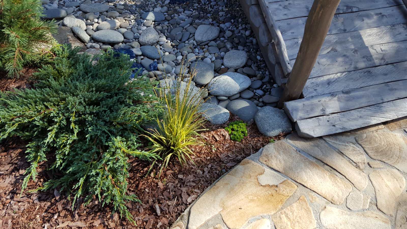 Обложка проекта: Прохорово лето 2017