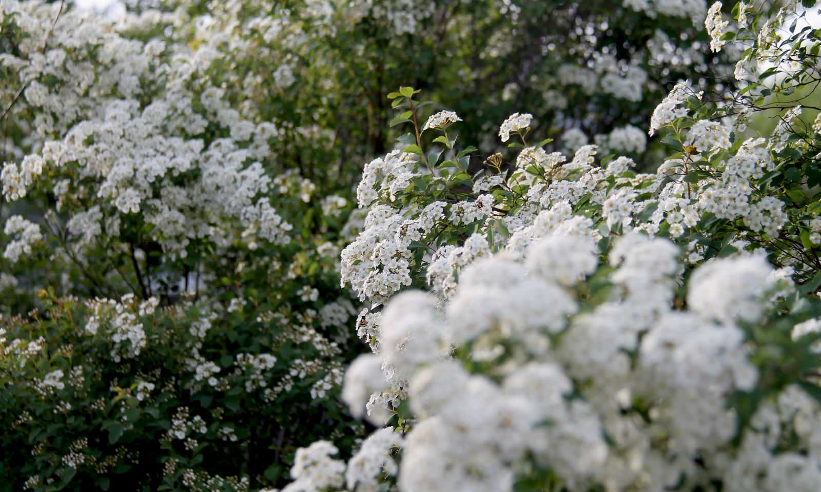 "Замыкая круг"