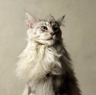 Светлана Мирошниченко