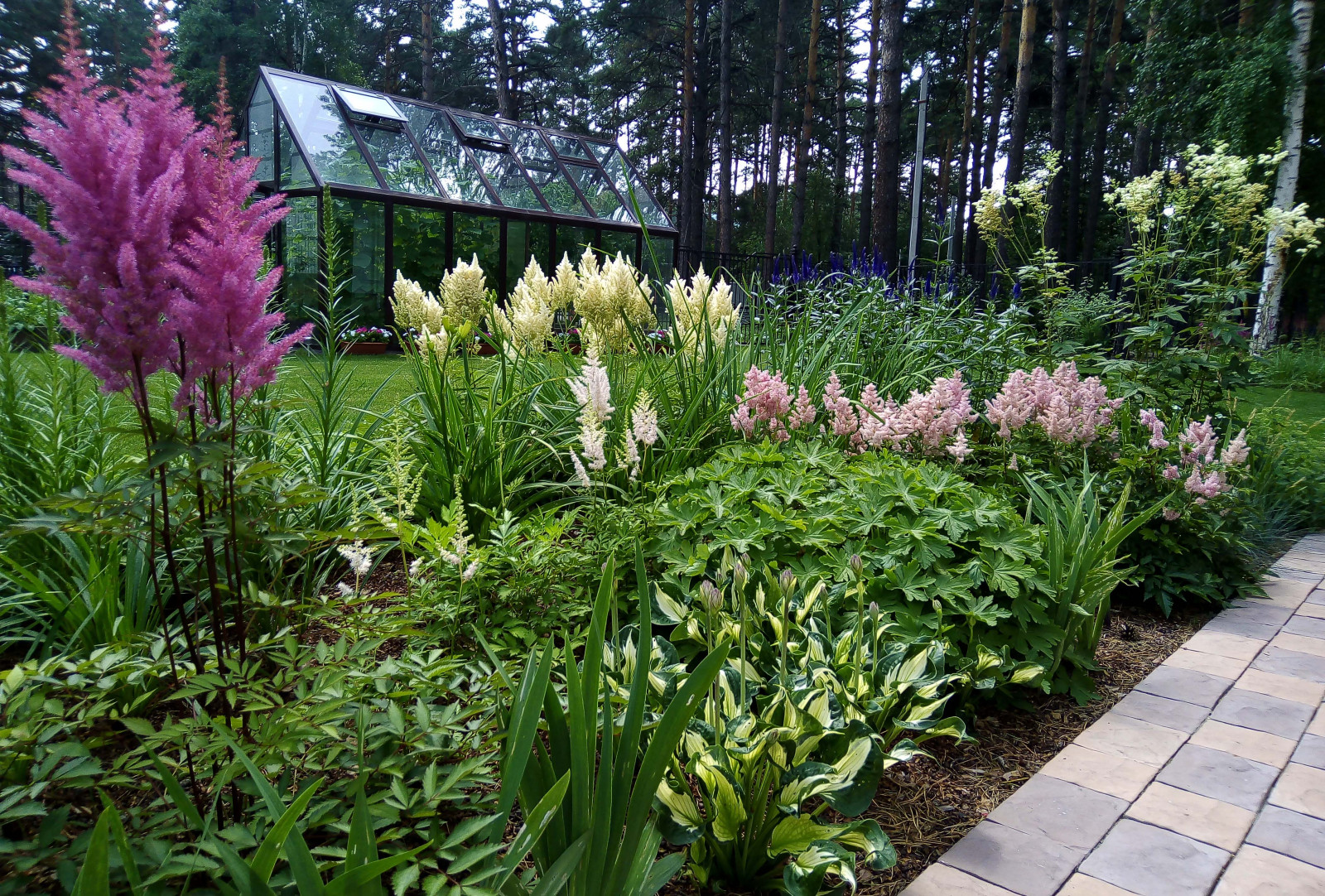 Цветники под пологом леса