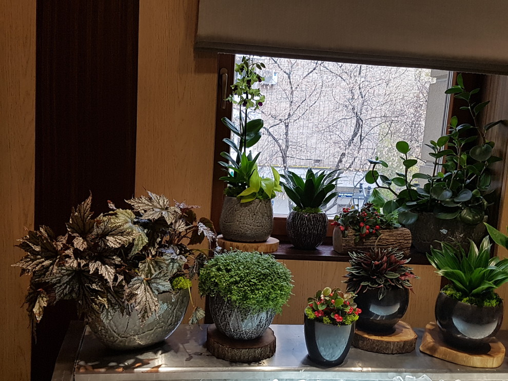 ресторан Аист на Малой Бронной