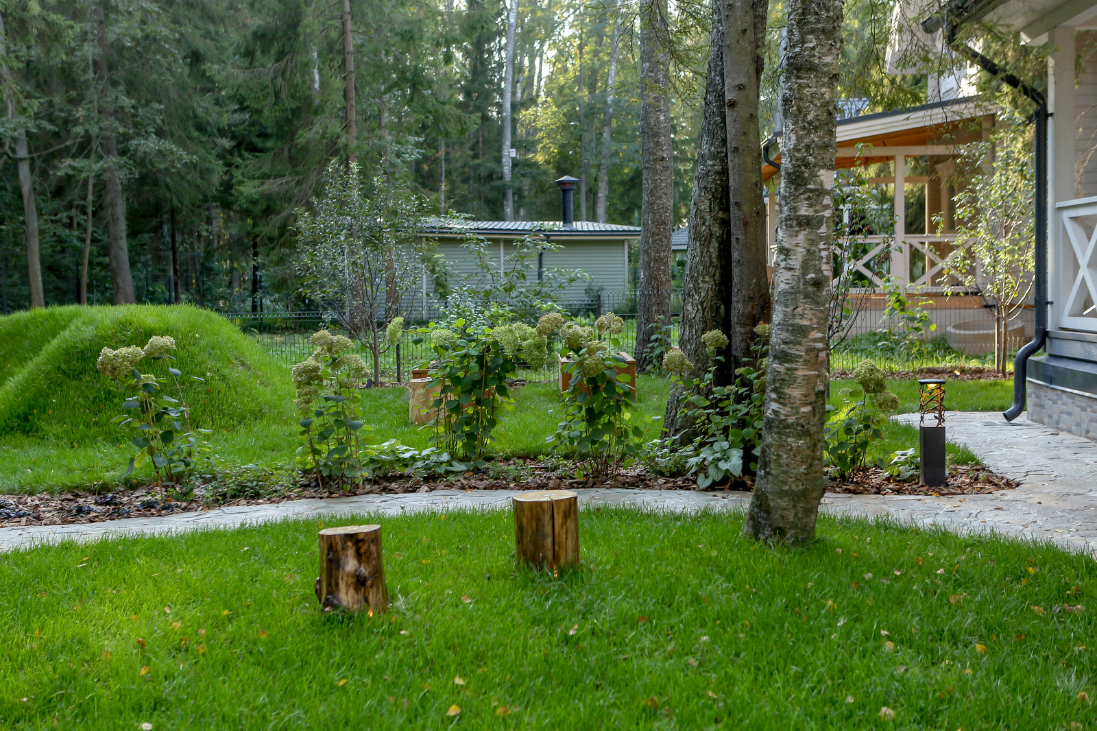 Сказочный лес