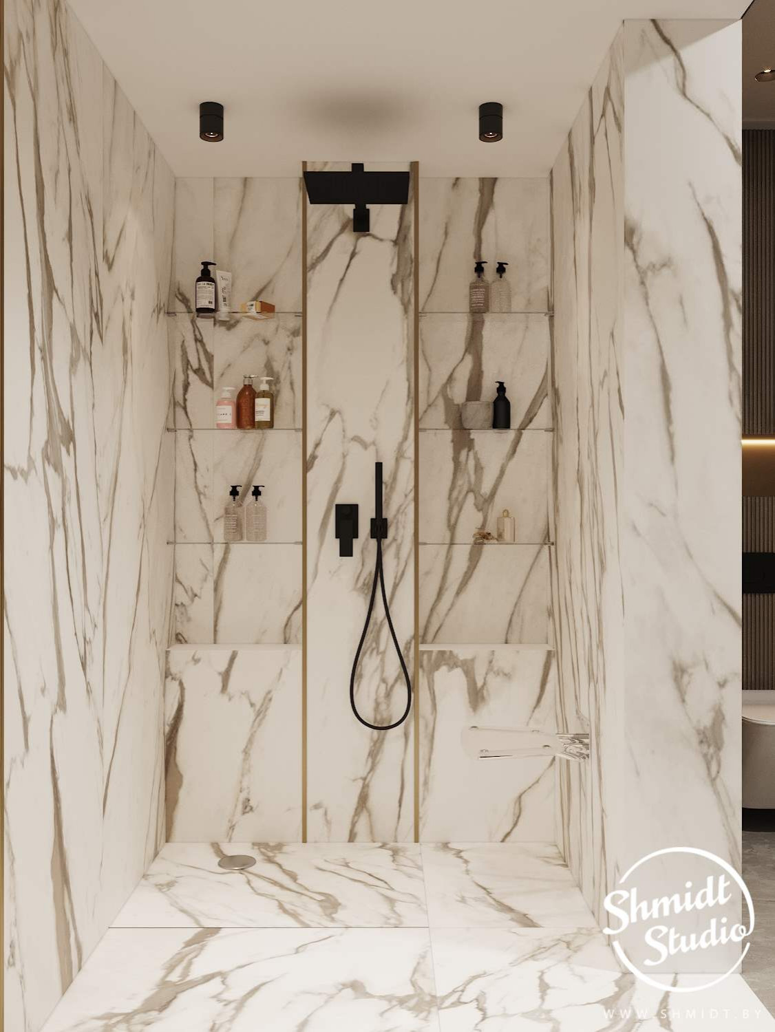 Проект "Роскошный" | Индия