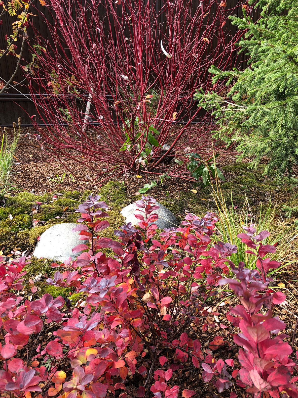 Усадьба на краю леса