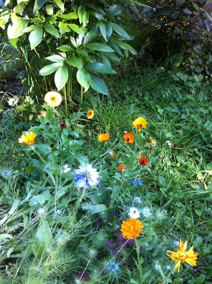 В гостях: Сад на выходные для родителей