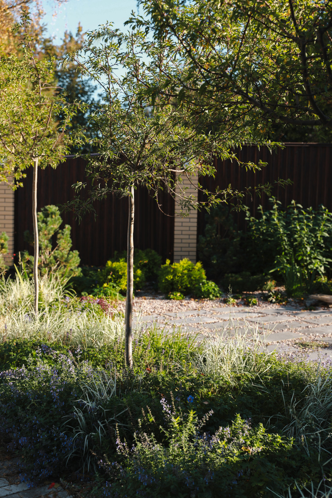 Участок 4 сотки, благоустройство и ландшафт