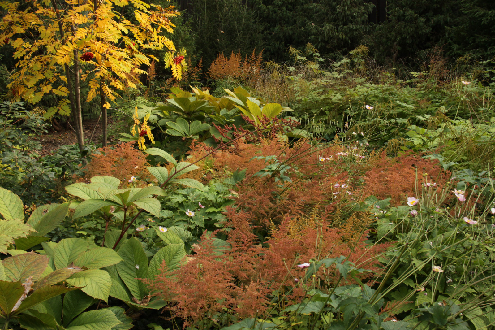 "Fairy Garden.Сад под дубами"