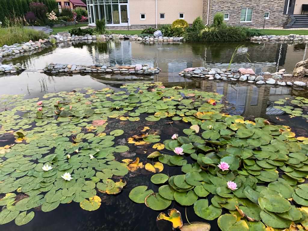 Декоративный водоём в Казани