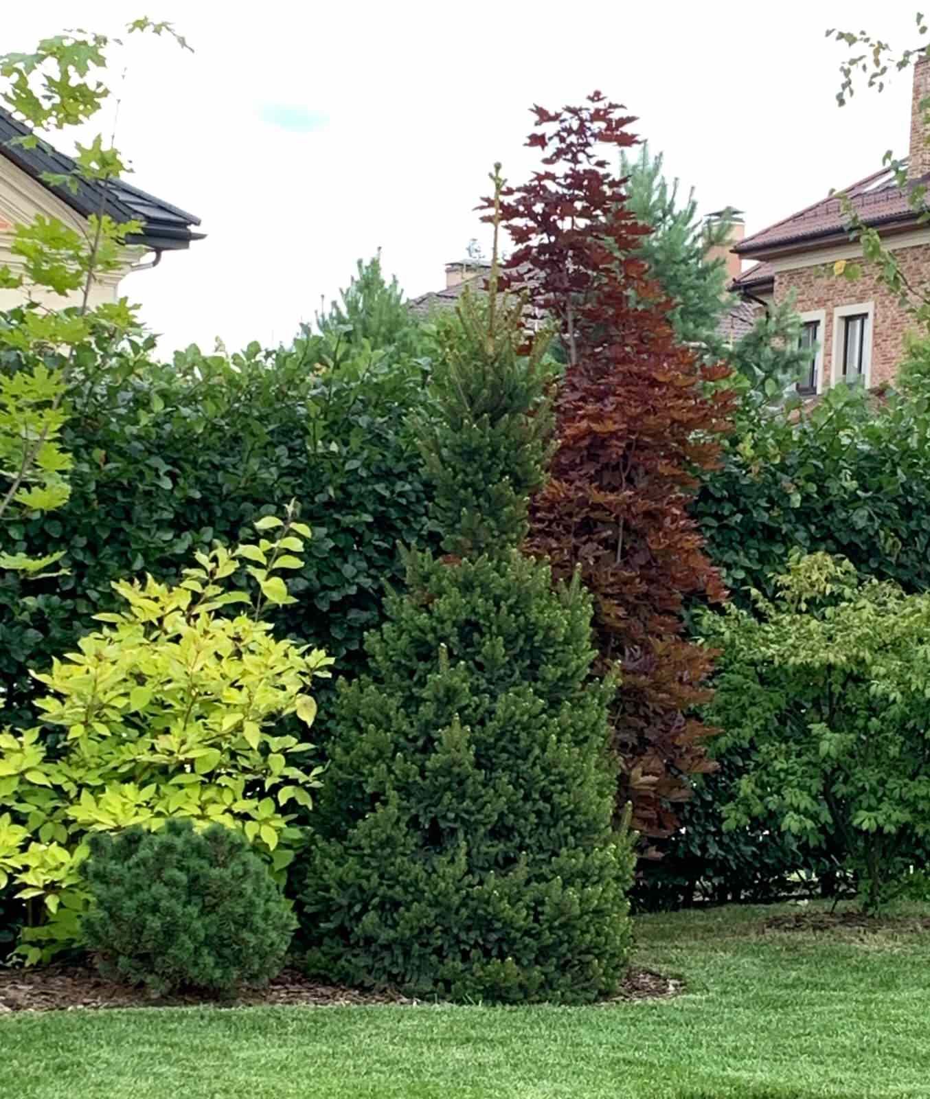 Обложка проекта: КП Миллениум