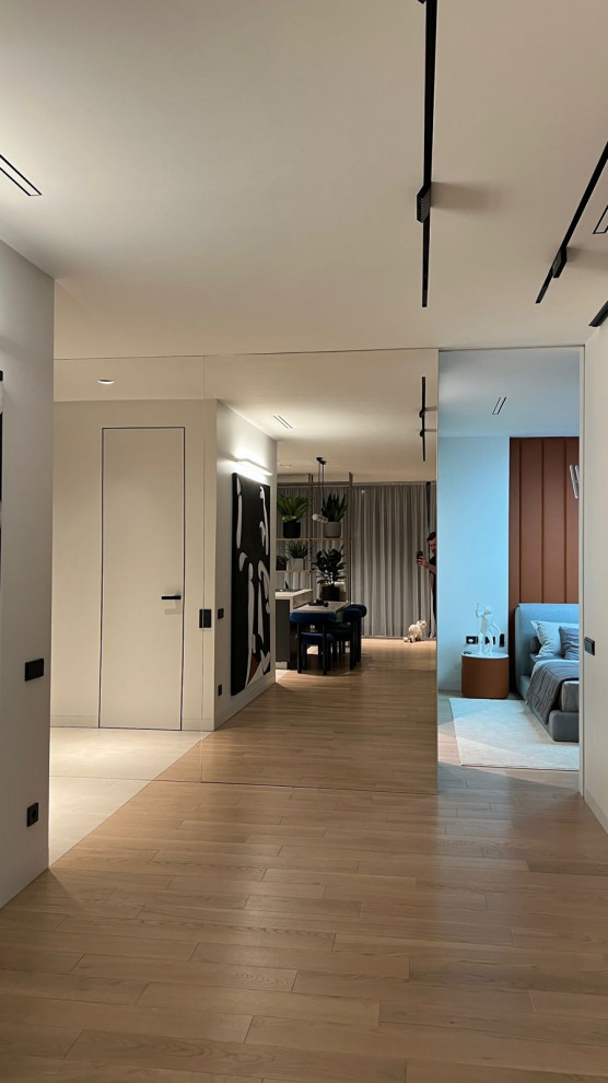 Фотосессия - двери, мебель и перегородки в московской квартире