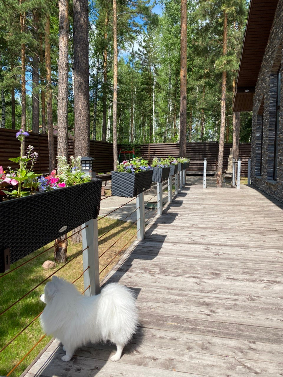 Обложка проекта: Уютная терраса и гостинная с растениями