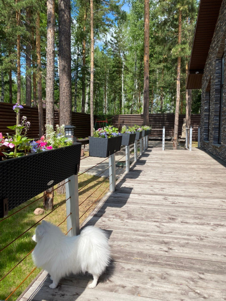 Обложка проекта: Уютная терраса и гостинная с растениями