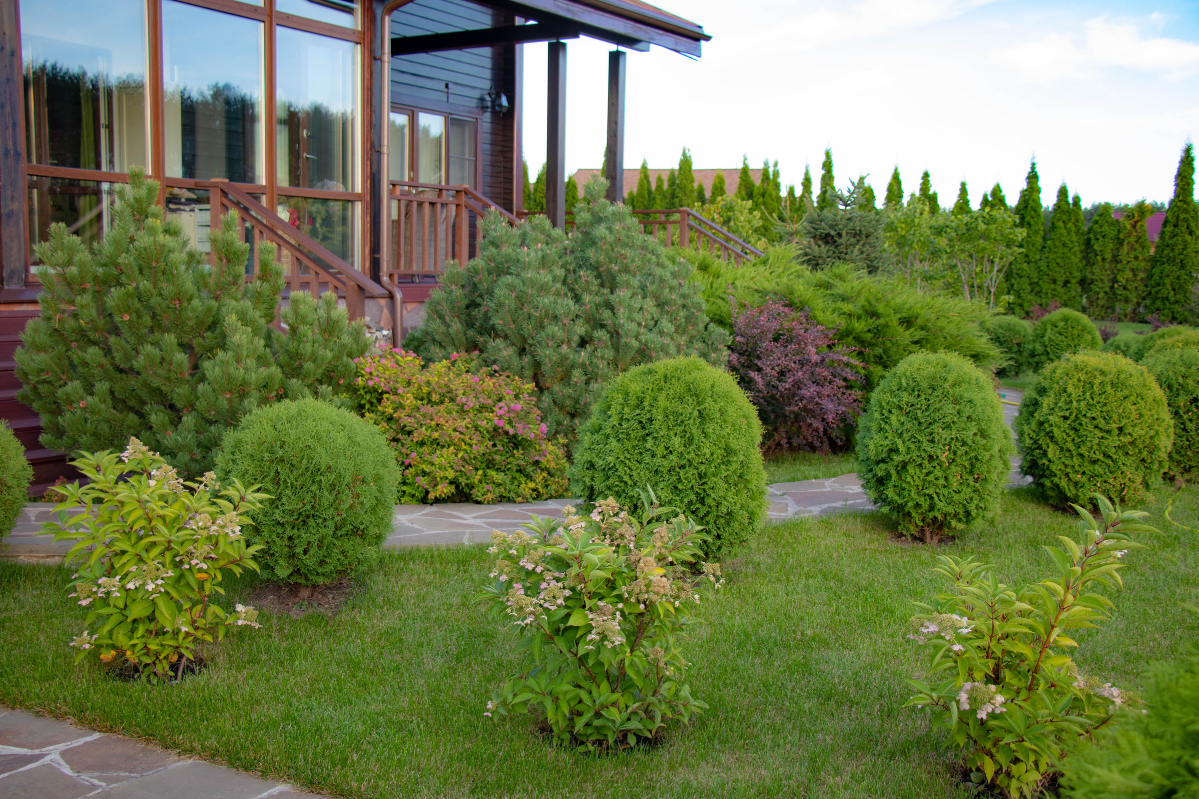 Сосновые берега