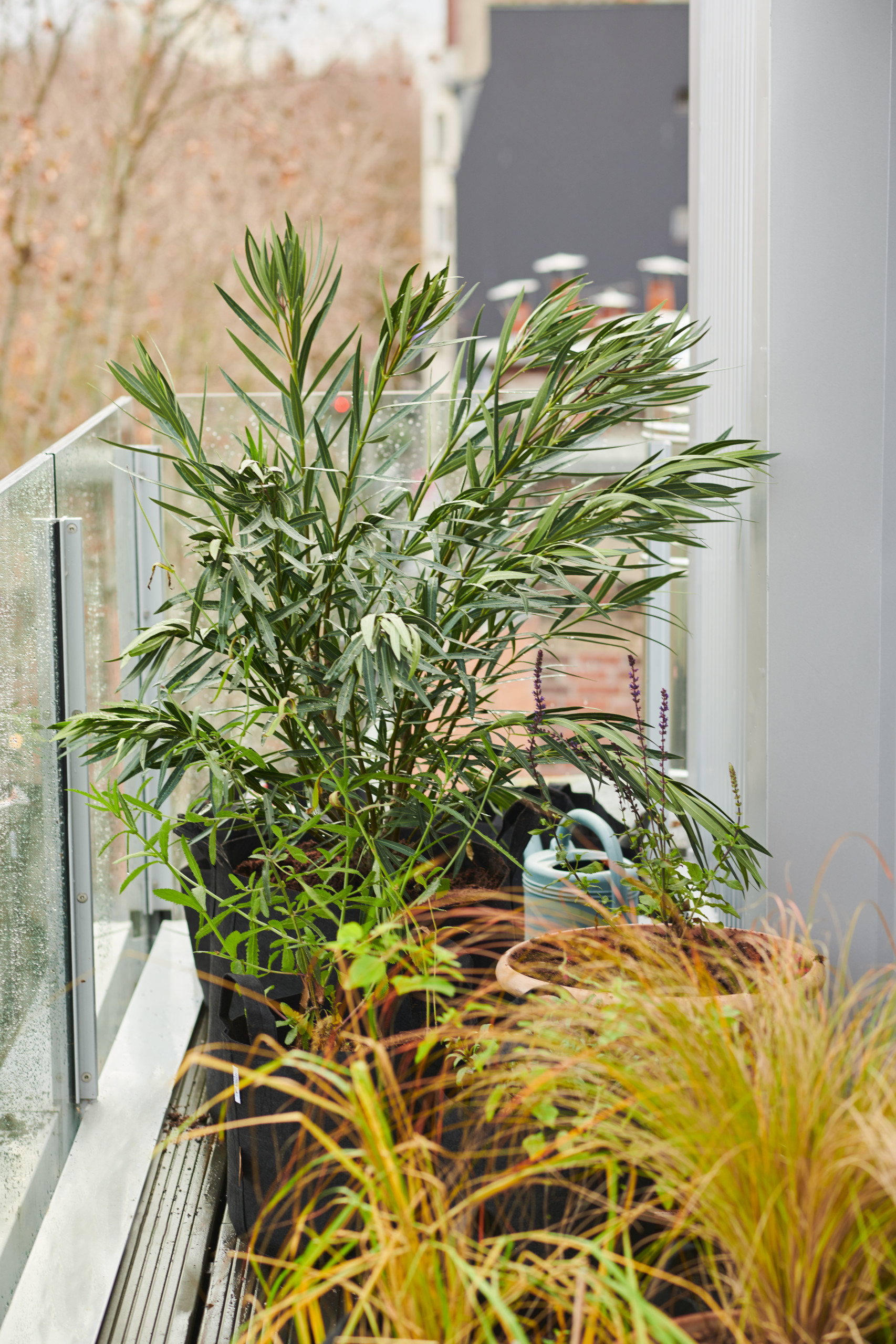 6 проектов: Что сажают на своих балконах французы