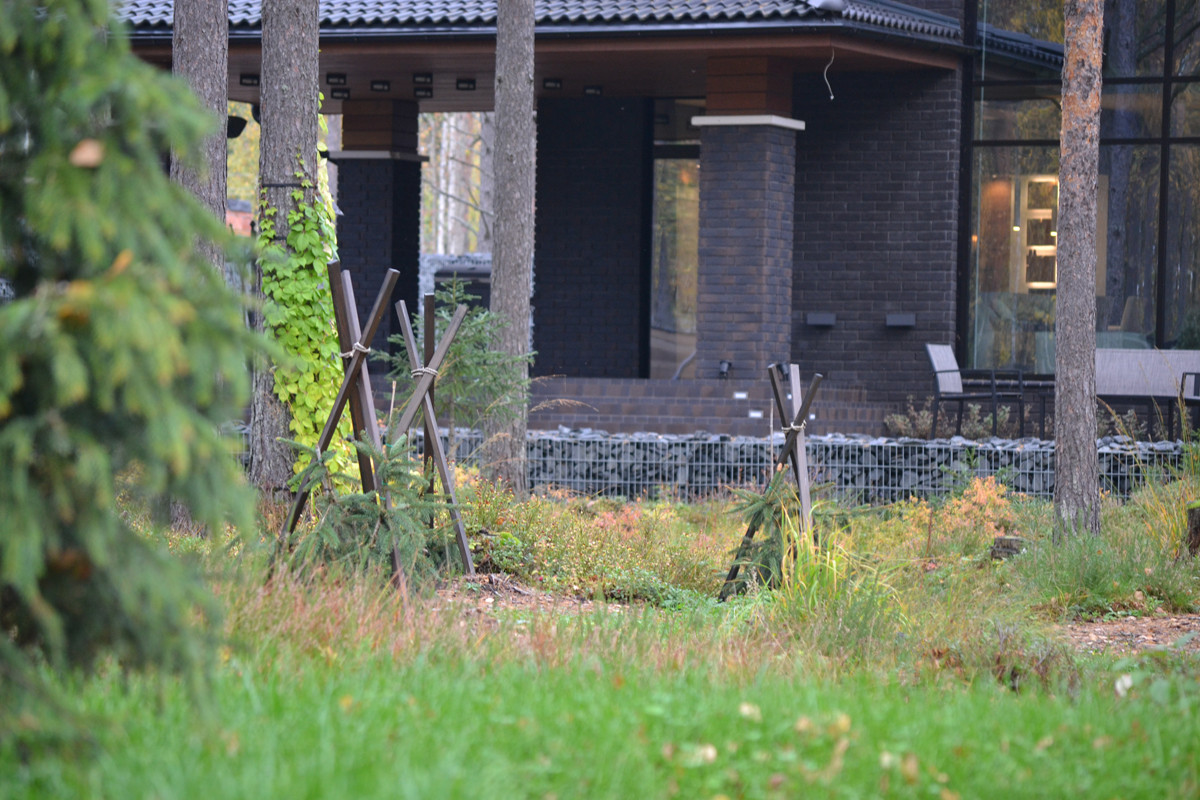 Обложка проекта: Райт и Ленинградский лес